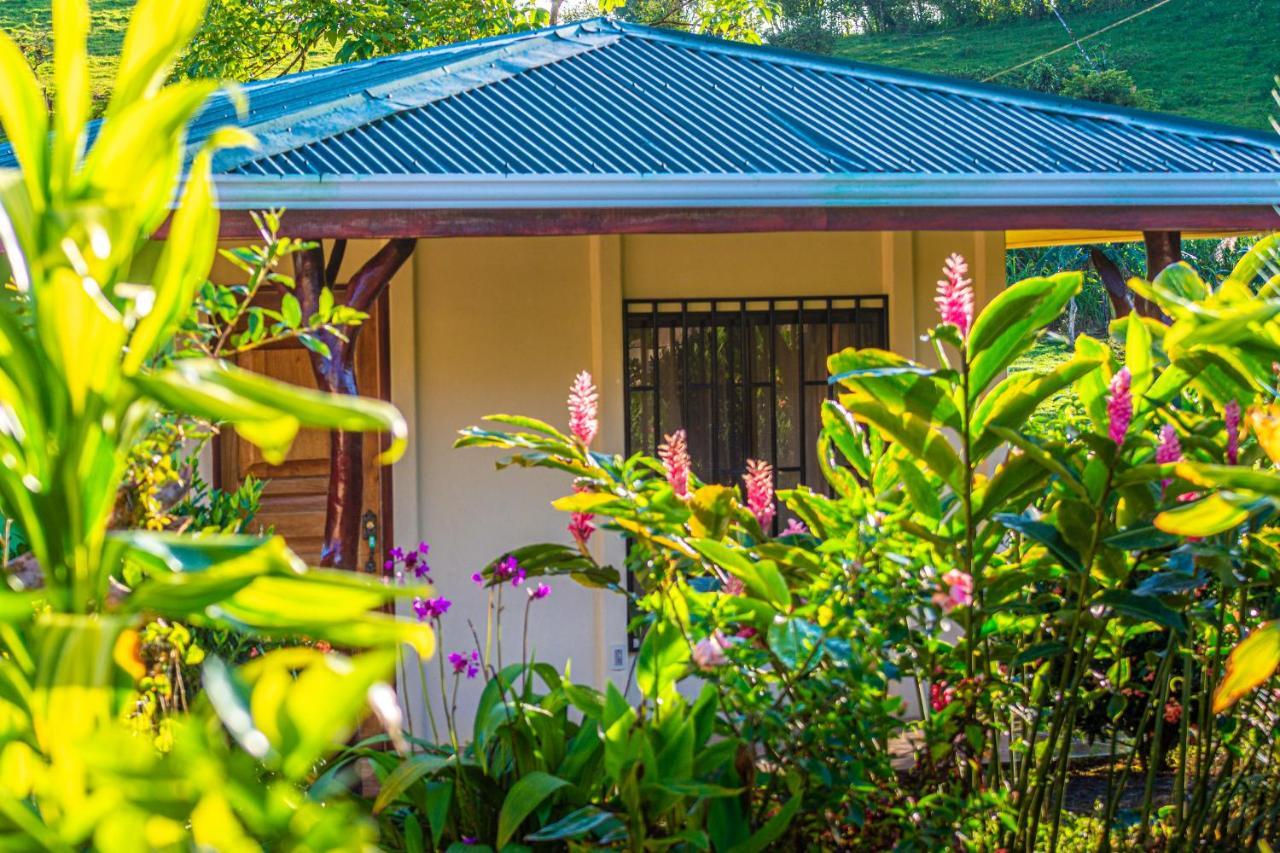 Rio Celeste Springs Blue Lodge Bijagua Bagian luar foto